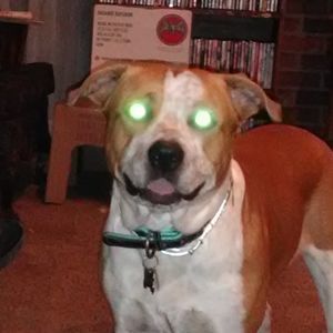 Meet your Posher, James